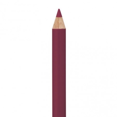 Ceruzka na pery so štetcom BERRY 1,05g