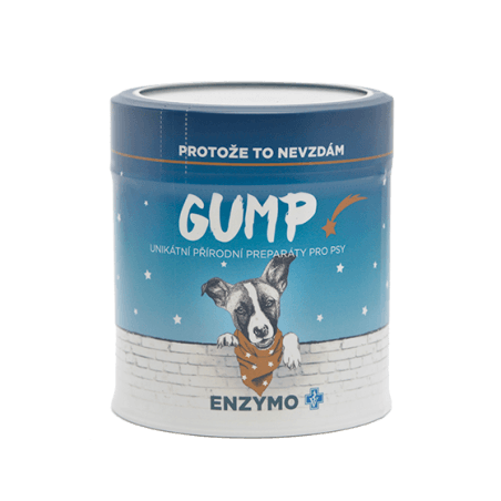 GUMP - Enzymy
