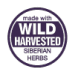 Wild Harvested Siberian Herbs - Sběr divoce rostoucích bylin