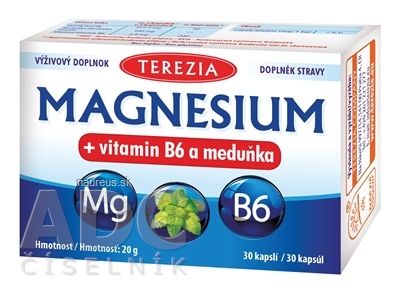 Levně TEREZIA COMPANY s.r.o. TEREZIA MAGNESIUM + vitamin B6 a meduňka (meduňka) cps 1x30 ks 30 ks