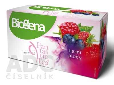BIOGENA CB spol. s r.o. Biogena Fantastic Tea Lesní plody ovocný čaj 20x2,2 g (44 g) 20 ks